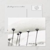 Met sneeuw beklede bloemen briefkaart (Voorkant / Achterkant)