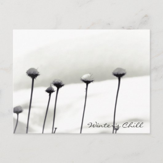 Met sneeuw beklede bloemen briefkaart (Voorkant)