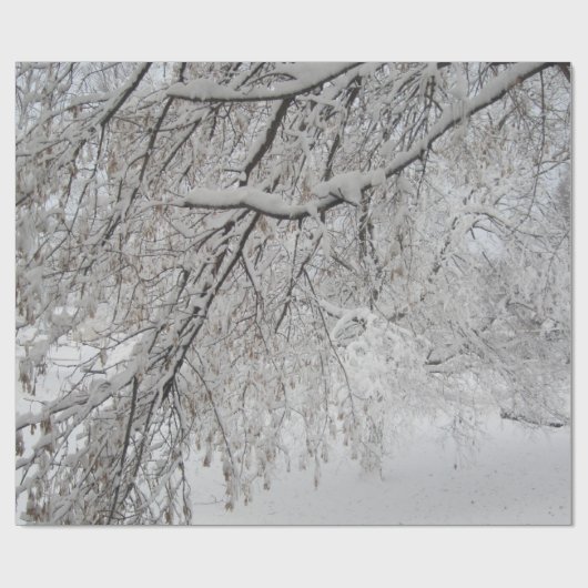 Met sneeuw bekleed omlooppapier voor bomen - VS Cadeaupapier (Vlak)