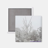 Met sneeuw en ijs bedekte bomen #1 magneet (Voorkant / Achterkant)