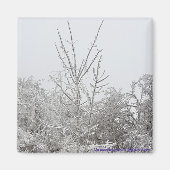 Met sneeuw en ijs bedekte bomen #1 magneet (Voorkant)