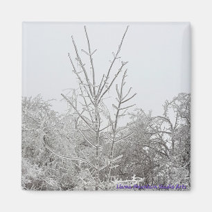 Met sneeuw en ijs bedekte bomen #1 magneet
