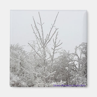 Met sneeuw en ijs bedekte bomen #1 magneet