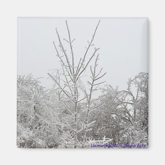 Met sneeuw en ijs bedekte bomen #1 magneet (Voorkant)