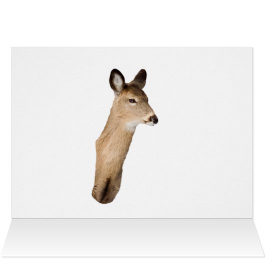 Met sneeuw en penseel (Binnen Horizontaal (Boven))