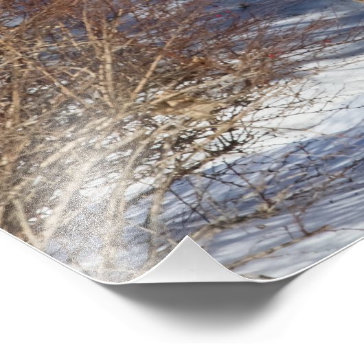 Met sneeuw en penseel foto afdruk (Hoek)