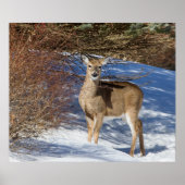 Met sneeuw en penseel poster (Voorkant)