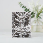 Met sneeuwbeklede bijkantoren briefkaart (Staand voorkant)