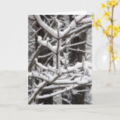 Met sneeuwbeklede bijkantoren kaart (Gele Bloem)