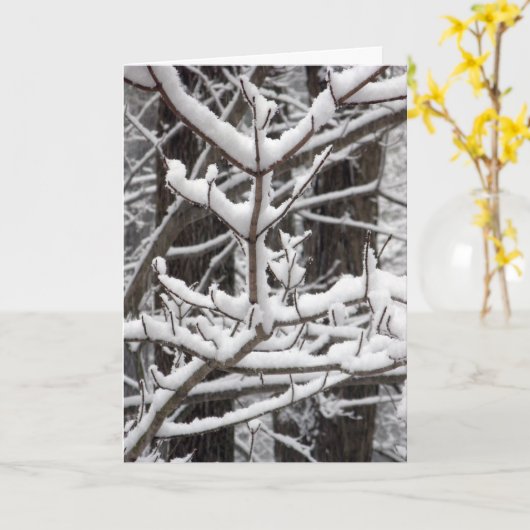 Met sneeuwbeklede bijkantoren kaart (Gele Bloem)