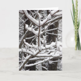 Met sneeuwbeklede bijkantoren kaart