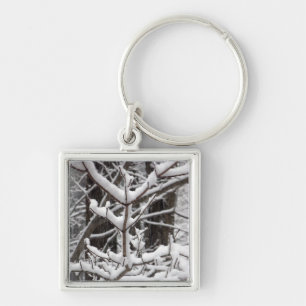 Met sneeuwbeklede bijkantoren sleutelhanger