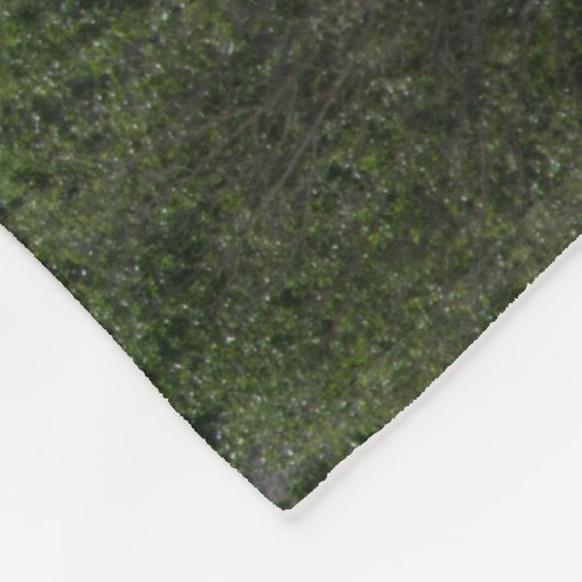 Met sneeuwgemap beklede bergen van de Lone Pine Fleece Deken (Hoek)