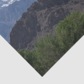 Met sneeuwgemap beklede bergen van de Lone Pine Tissuepapier (Detail)