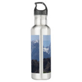 Met sneeuwgemap beklede bergen van de Lone Pine Waterfles (Achterkant)