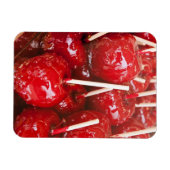 Met snoep gecoate vruchten op de Stuttgart Beer Fe Magneet (Horizontaal)