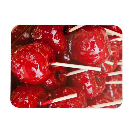 Met snoep gecoate vruchten op de Stuttgart Beer Fe Magneet (Horizontaal)