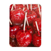 Met snoep gecoate vruchten op de Stuttgart Beer Fe Magneet (Verticaal)