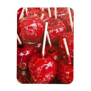 Met snoep gecoate vruchten op de Stuttgart Beer Fe Magneet