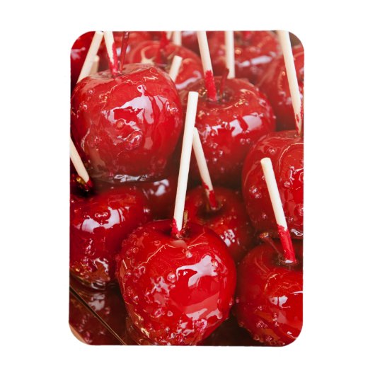 Met snoep gecoate vruchten op de Stuttgart Beer Fe Magneet (Verticaal)