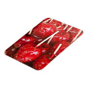 Met snoep gecoate vruchten op de Stuttgart Beer Fe Magneet (Linkerzijde)