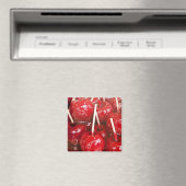 Met snoep omhuld fruit op het Stuttgart Bierfeest Magneet (Insitu (Vaatwasser))