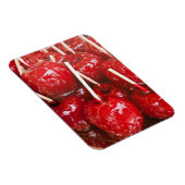 Met snoep omhuld fruit op het Stuttgart Bierfeest Magneet (Rechterzijde)