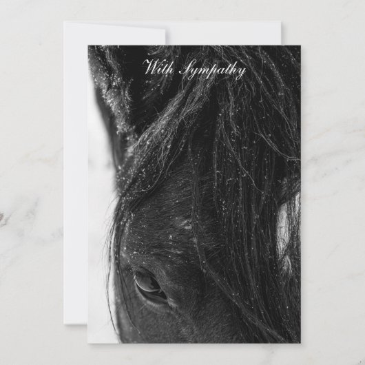 Met sympathie (Voorkant)