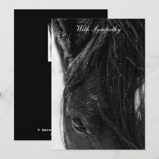 Met sympathie (Voorkant / Achterkant)