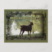 Met sympathie - Doberman met uitzicht op een meer