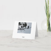 Met Sympathy Card - De kraaien weten alles Kaart (Achterkant)