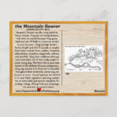 Met uitsterven bedreigde Beaver van het Point Aren Briefkaart (Achterkant)