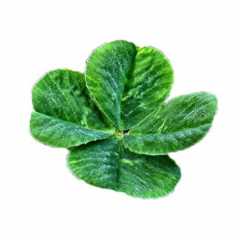 met vier bladklaver gesculpeerde sleutelhanger fotobeeldje sleutelhanger