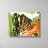 Met vlinder omwikkeld canvas (Voorkant)