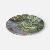 met vorst bedekte heilige en cobweb - kerstontwerp papieren bordje (Gekanteld)