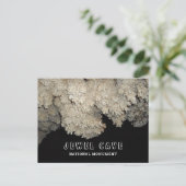 Met vorstwerk bedekte popcorn, juwelengrot, SD Briefkaart (Staand voorkant)