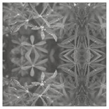 Met water gekleurde bladeren