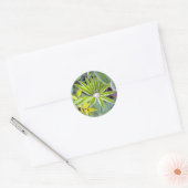 Met water gevulde lupine bladeren Sticker (Envelop)