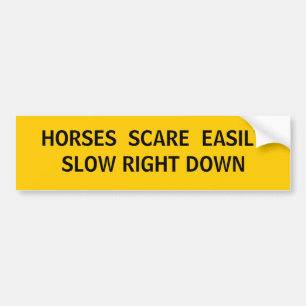 Met wie delen we de weg nog meer? bumpersticker