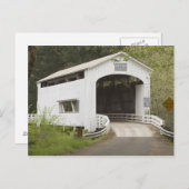 Met wilde katten bedekte brug, Lane County, Oregon Briefkaart (Voorkant / Achterkant)