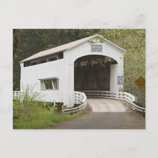 Met wilde katten bedekte brug, Lane County, Oregon Briefkaart (Voorkant)