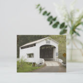 Met wilde katten bedekte brug, Lane County, Oregon Briefkaart (Staand voorkant)