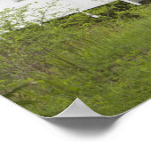 Met wilde katten bedekte brug, Lane County, Oregon Poster (Hoek)