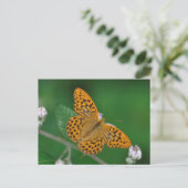 Met zilver gewassen Fritillary briefkaart (Staand voorkant)