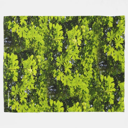 Met zondeklapte bladeren in het bos fleece deken (Voorkant (Horizontaal))