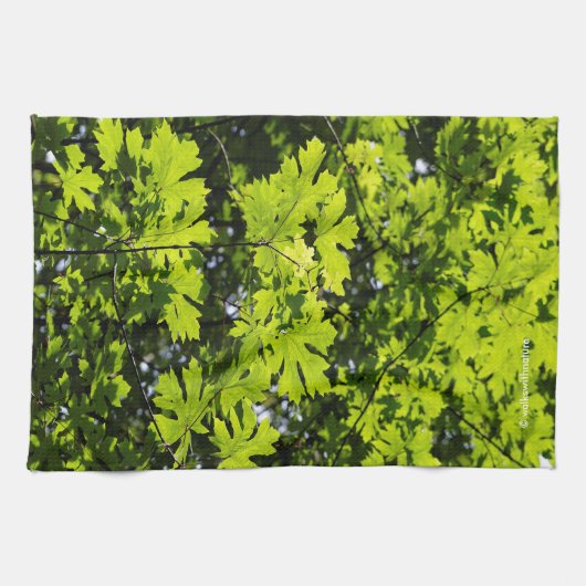 Met zondeklapte bladeren in het bos theedoek (Horizontaal)