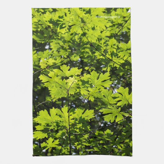 Met zondeklapte bladeren in het bos theedoek (Verticaal)