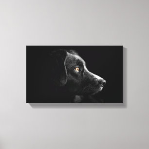 met zwarte labrador relayback omwikkeld canvas afdruk
