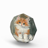 Meta Plückebaum Schattige Kitten Schilderij Fotoblokken (Rechts)