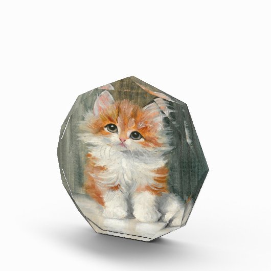 Meta Plückebaum Schattige Kitten Schilderij Fotoblokken (Rechts)